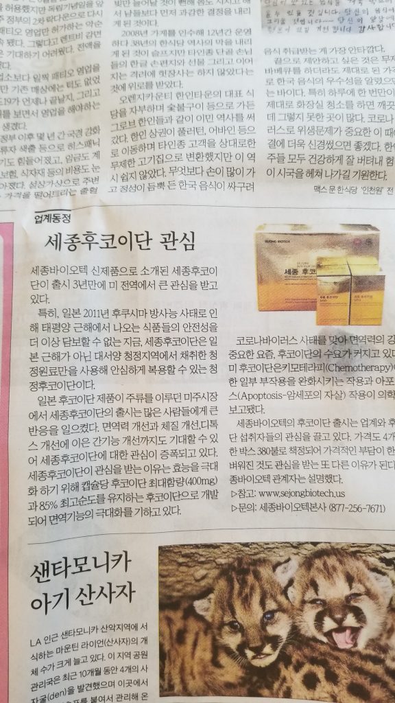 세종후코이단 관심 증가(미주 중앙일보)